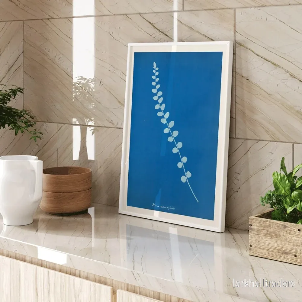 Pteris rotundifolia Poster