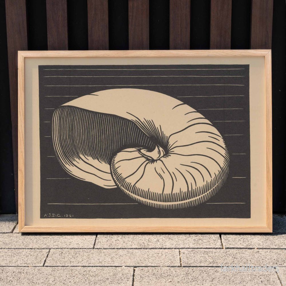 Snäcka Poster