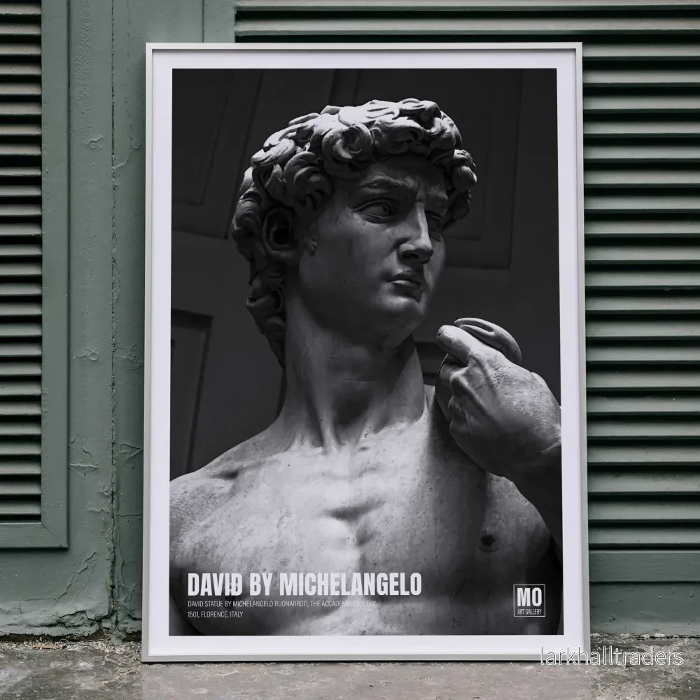 David av Michelangelo Poster
