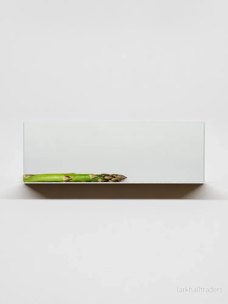 ASPERGE Hylla - Bild 2
