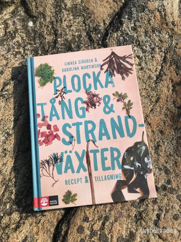 Plocka tång och strandväxter - Bild 3