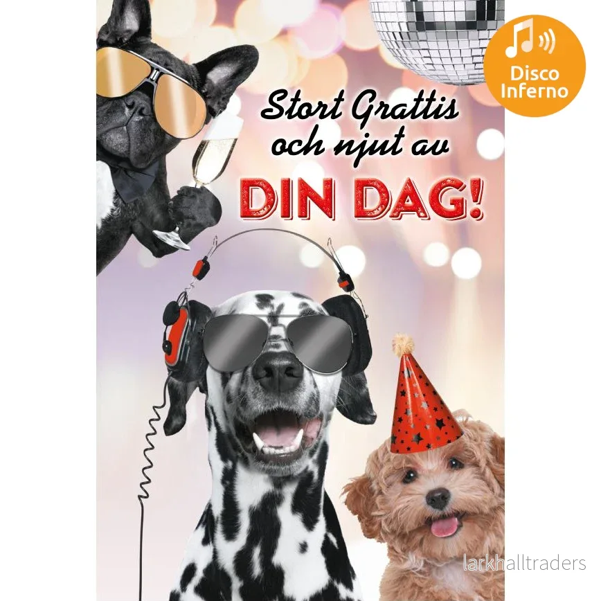 Dubbla kort med ljudeffekt, Kalas - Bild 2