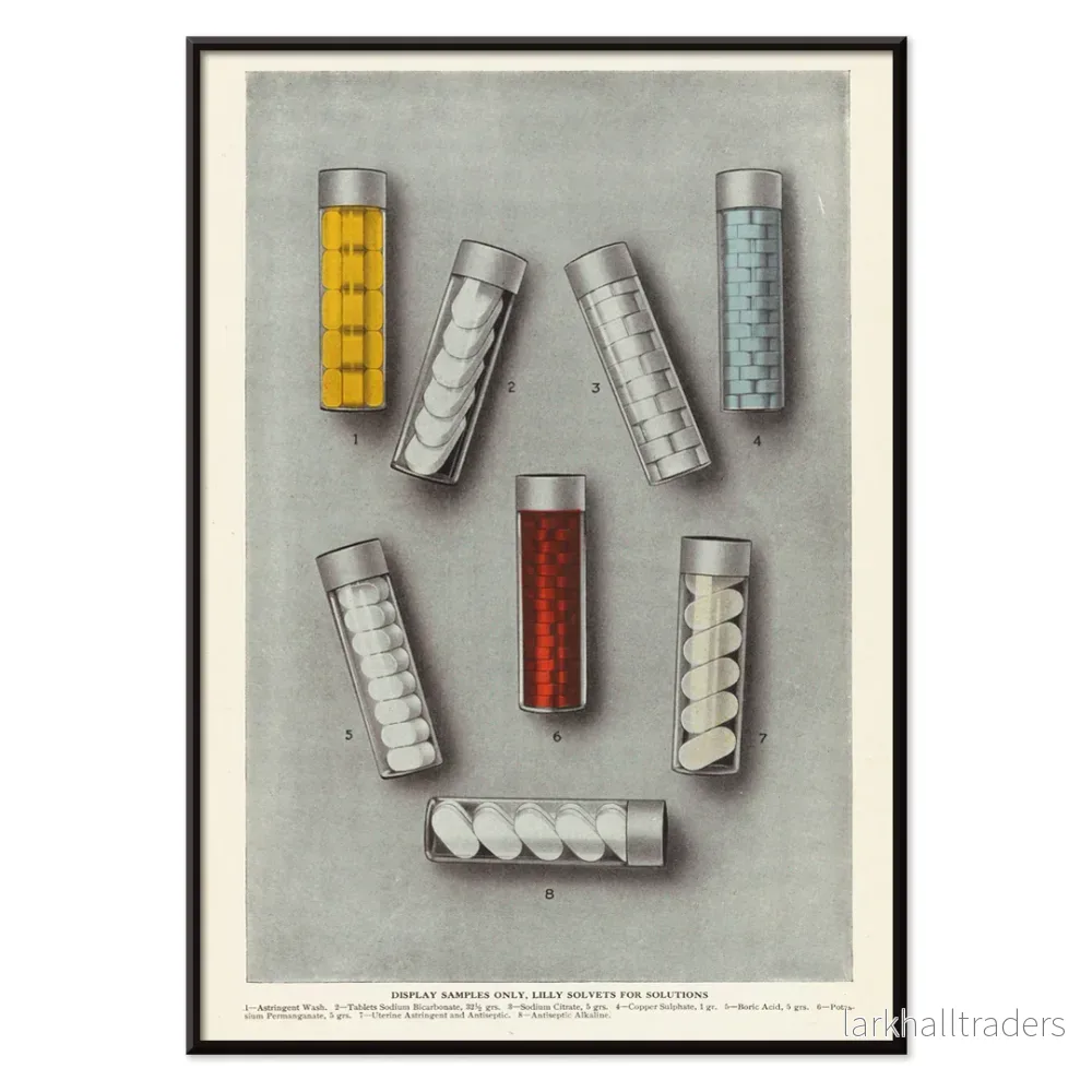 Lilly Solvets Poster - Bild 2