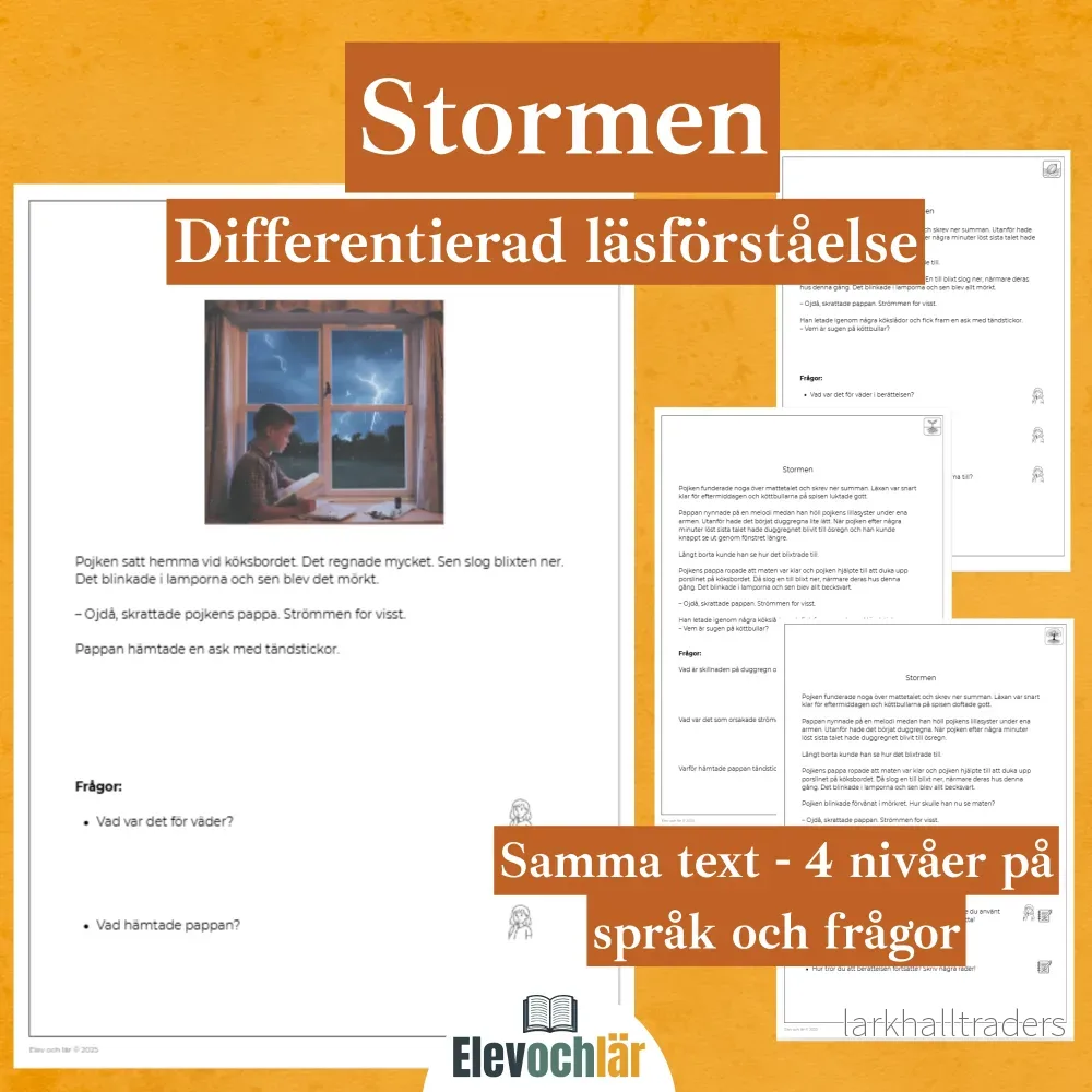 Differentierad läsförståelse – ”Stormen”, samma berättelse i fyra olika nivåer Differentierad läsförståelse – ”Stormen”, samma berättelse i fyra olika nivåer