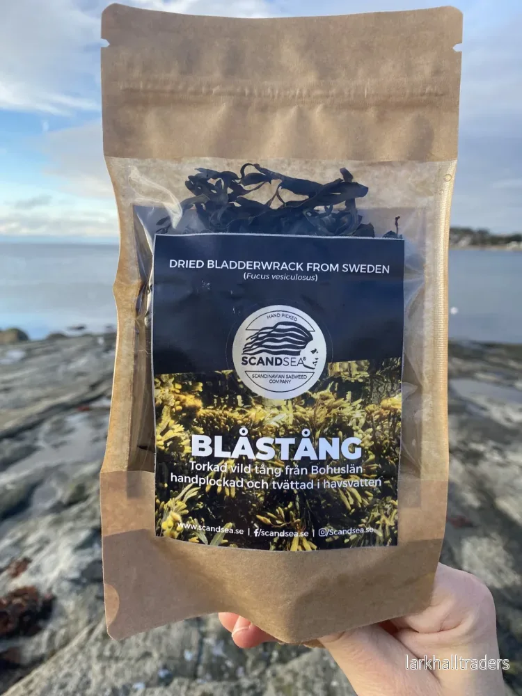 Blåstång