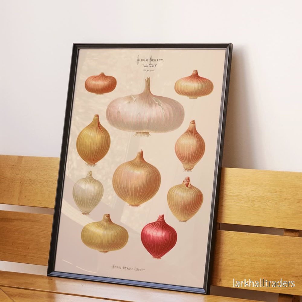 Lökar Poster