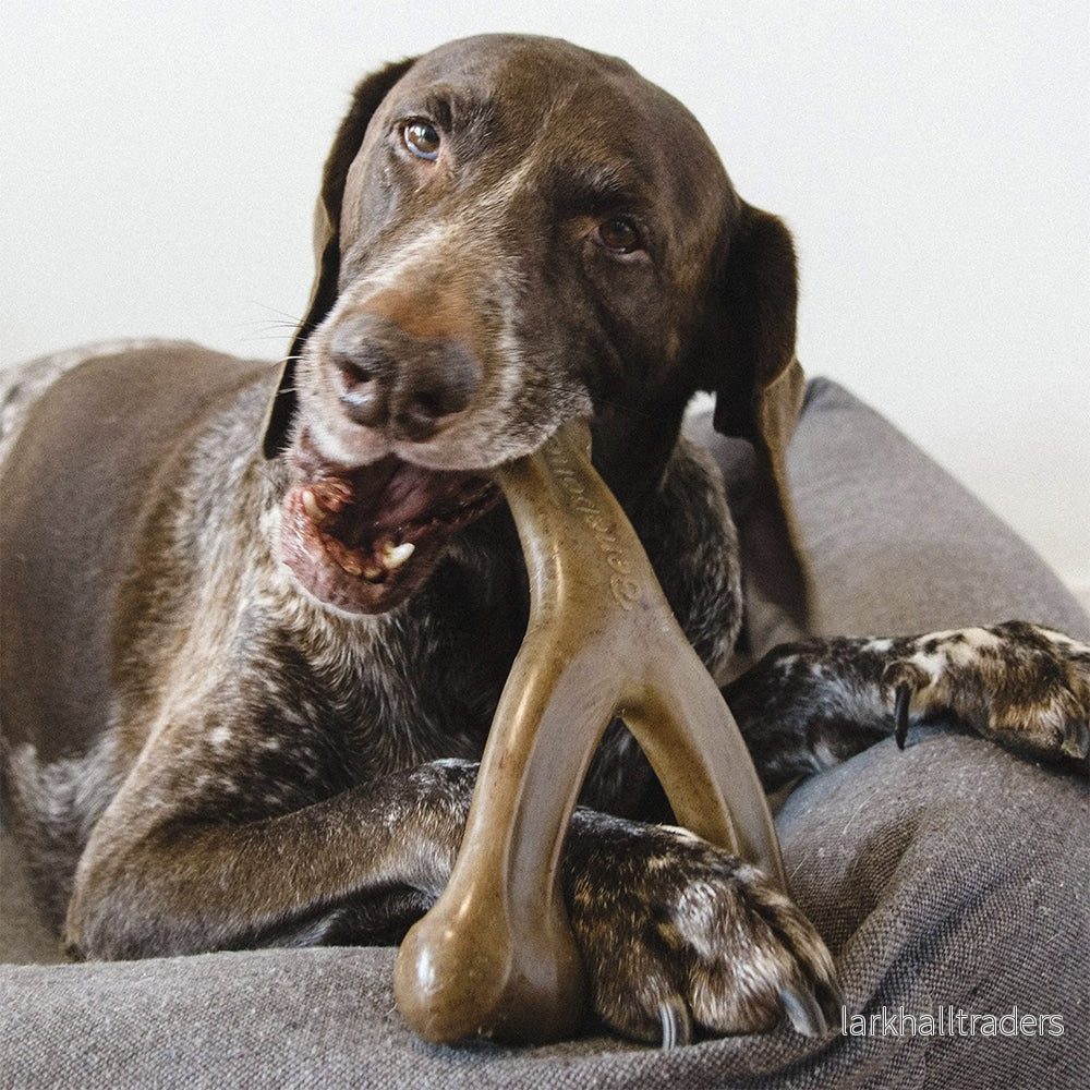 Hundtuggeben med bacon- och kycklingsmak - Bild 3
