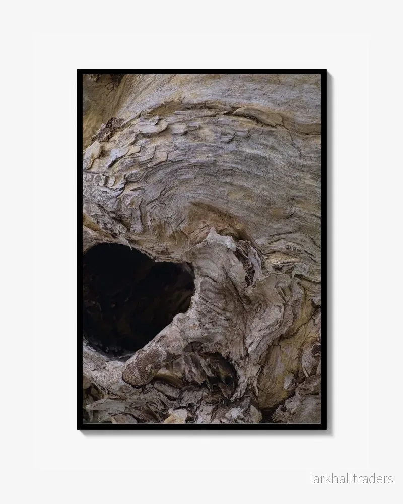 Primal Void – Foto Poster Print Primal Void – Foto Poster Print