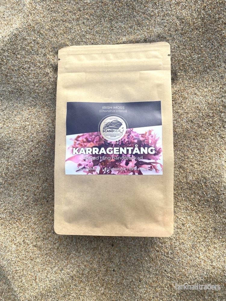 Karragentång - Bild 2