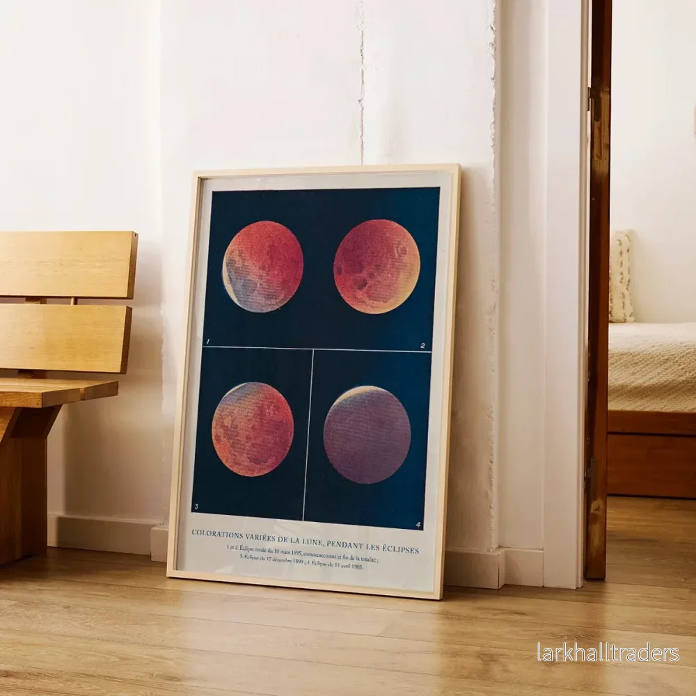 Colorations variées de la Lune Poster - Bild 3