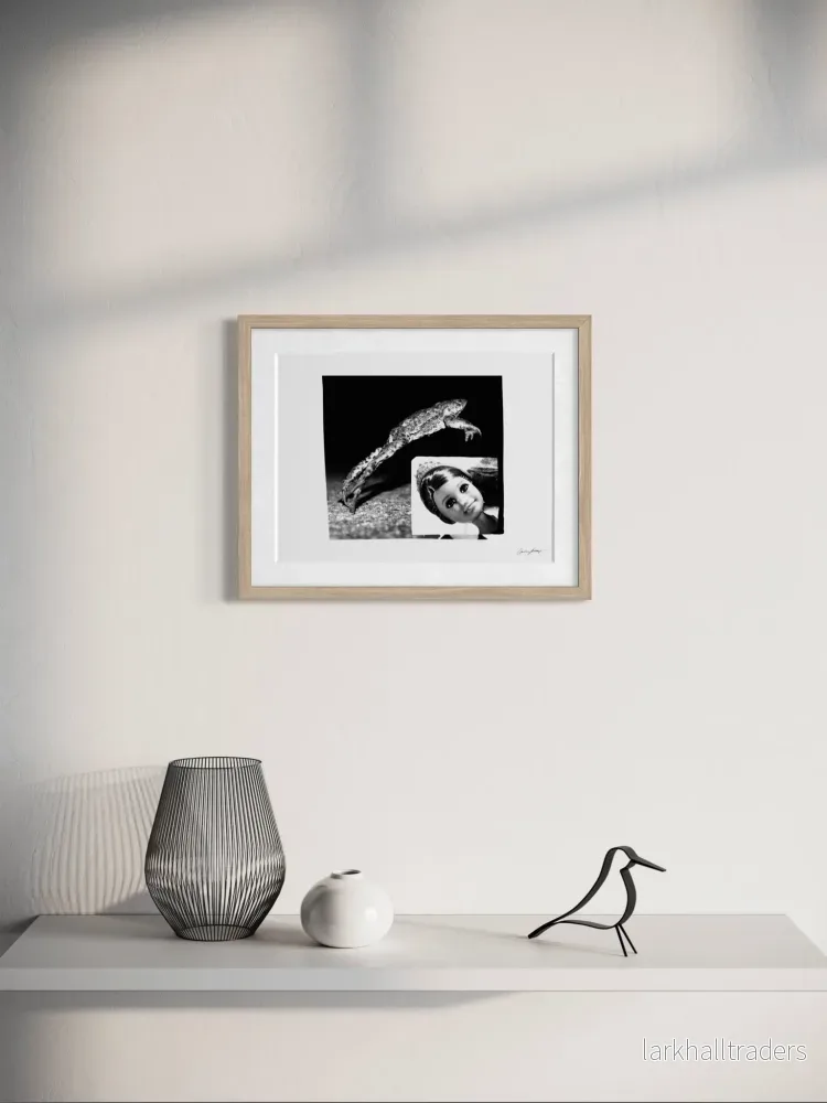 Overcoming Frog Poster - Bild 3