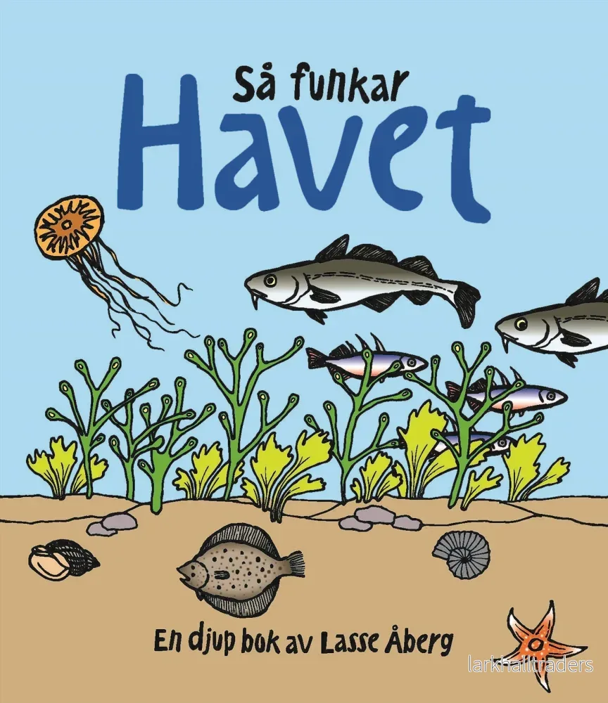 Så funkar havet - med pysselbok
