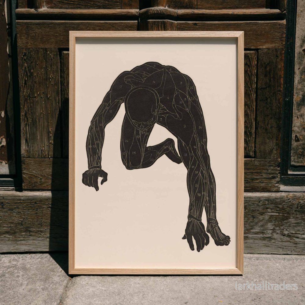 Nackmuskler Poster Nackmuskler Poster