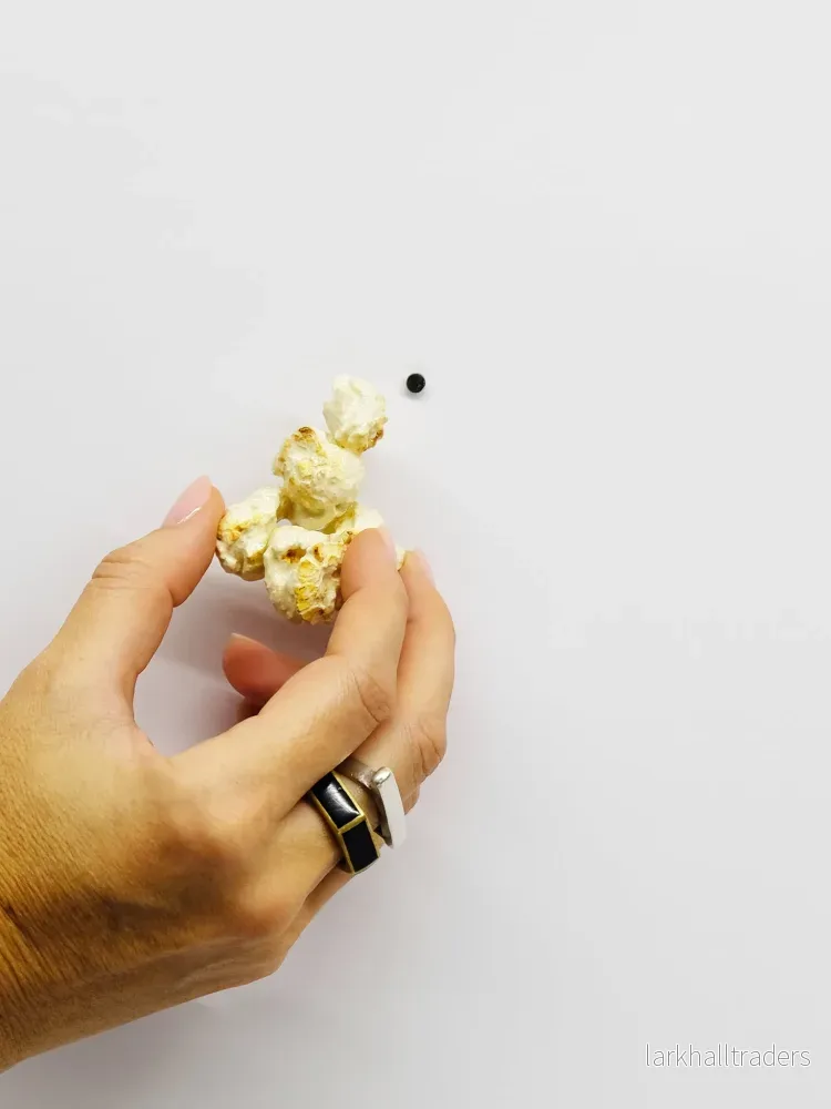 LES POPCORNS Skulptur