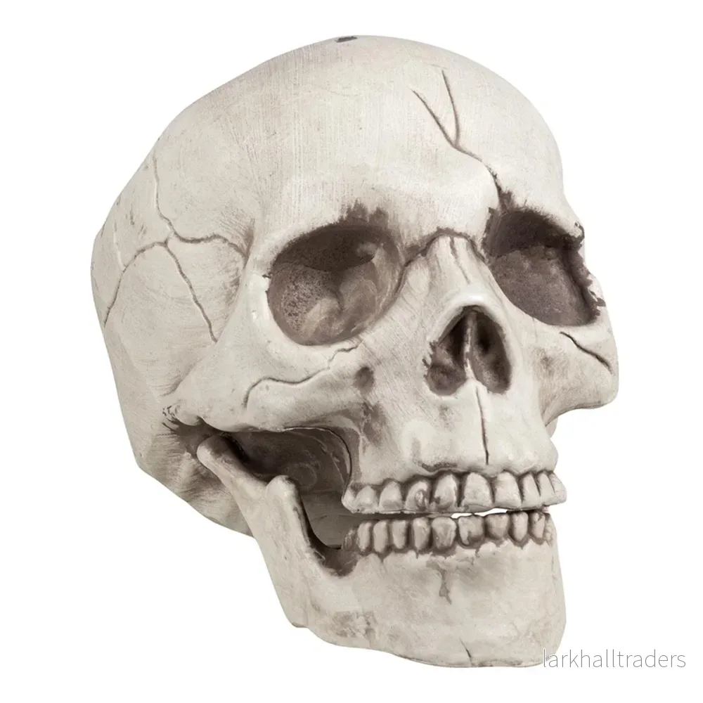 Dödskalle, rörlig käke 16x14x21 cm - Bild 2