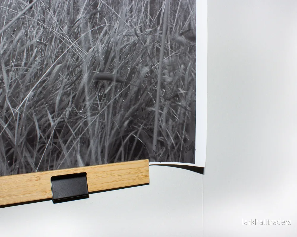 Fotokonst: "Återförenad" – Originalprint - Bild 2