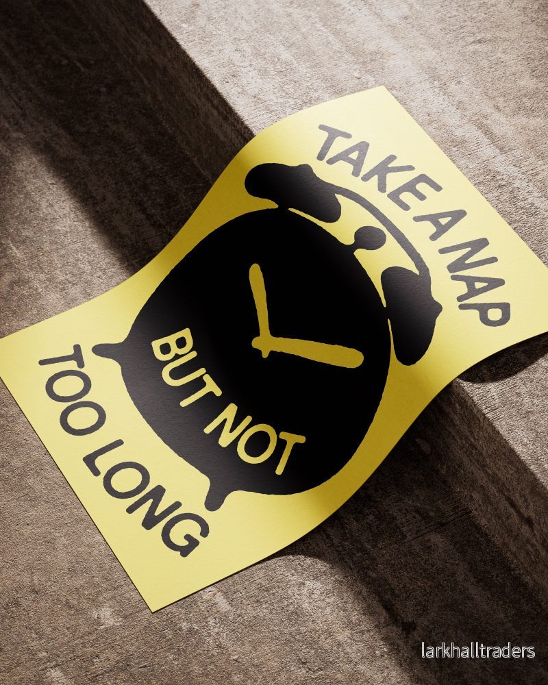 "TAKE A NAP BUT NOT TOO LONG" Poster - Bild 2