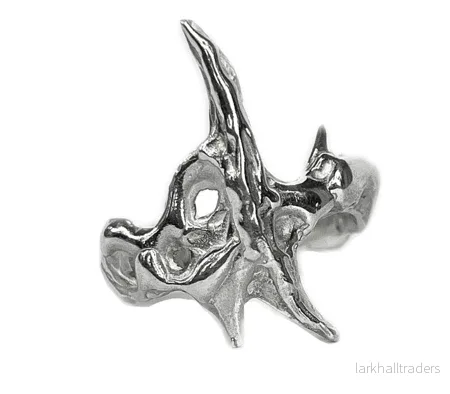 Metall Glänsande Ring Metall Glänsande Ring