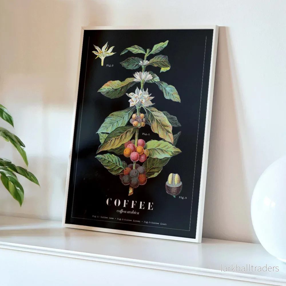 Coffea Arabica 2 Poster - Bild 3