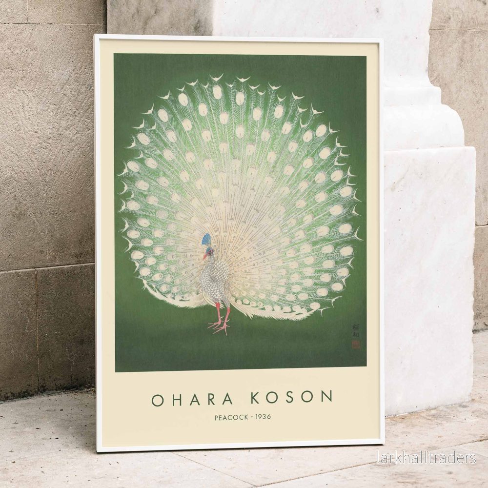 Påfågel Poster