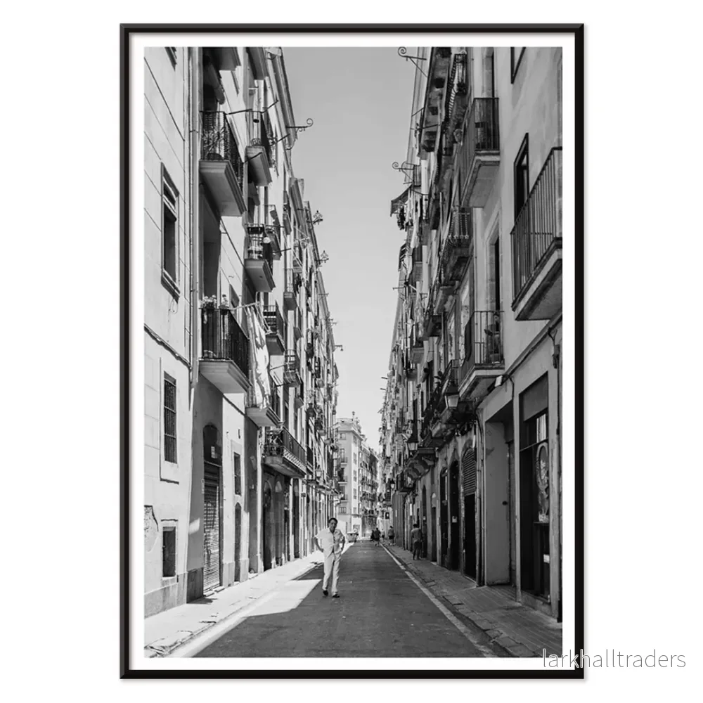 Gata i Barcelona Poster - Bild 2