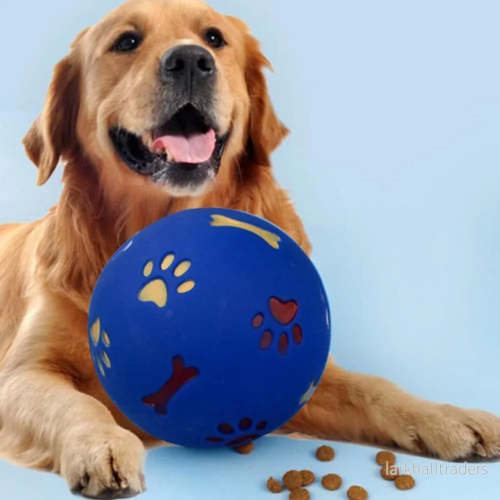 Hundaktivitetsboll – till glädje och nytta för din hund Hundaktivitetsboll – till glädje och nytta för din hund
