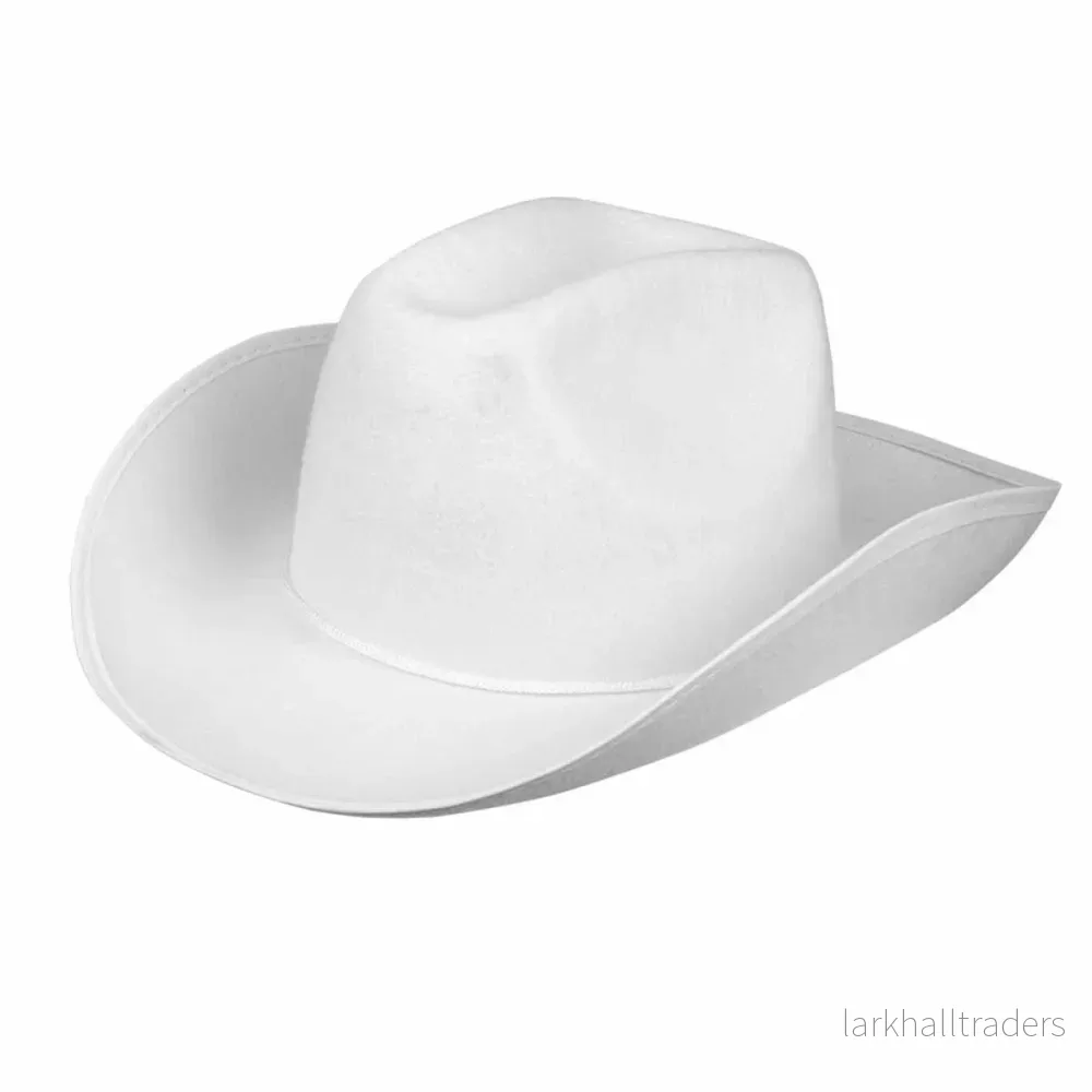 Cowboyhatt, rodeo vit Cowboyhatt, rodeo vit