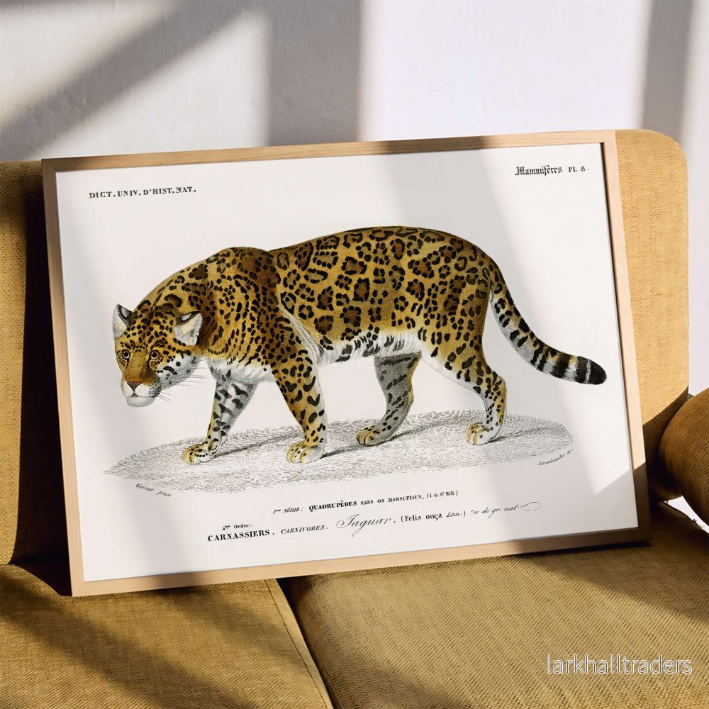 Panthera Onca Poster - Bild 3