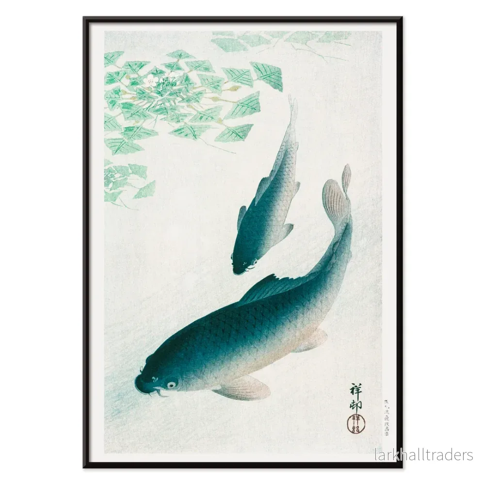 Koi Poster - Bild 2