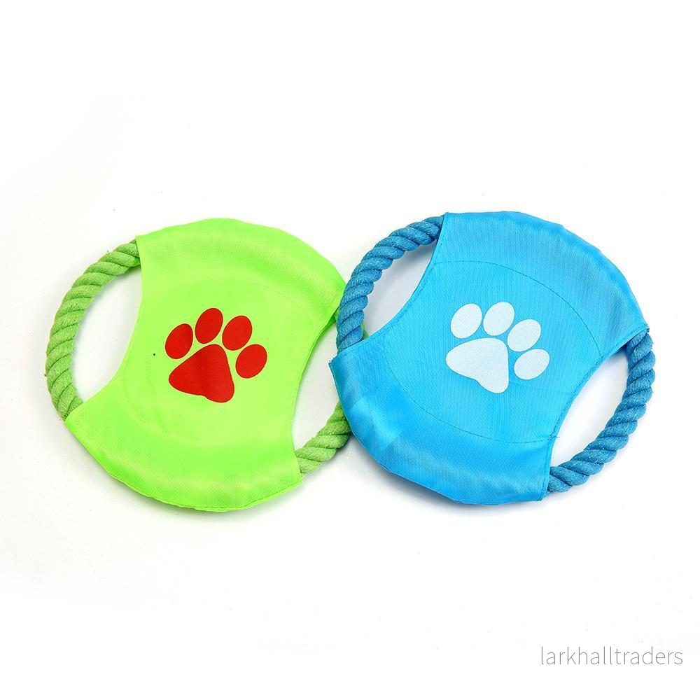 Hundfrisbee Hundfrisbee