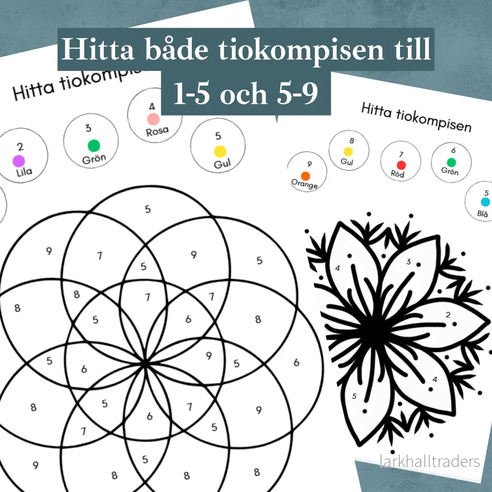 Matte-mandalas tiokompisar. Para ihop tiokompisarna - Bild 2
