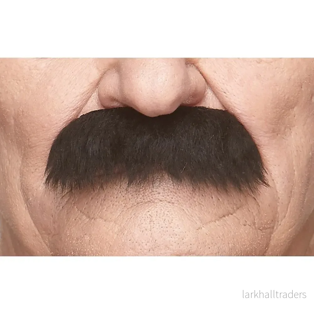 Mustasch, professor svart Mustasch, professor svart