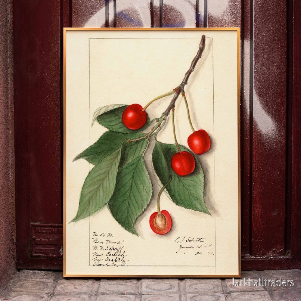 Govenor Wood Poster Govenor Wood Poster
