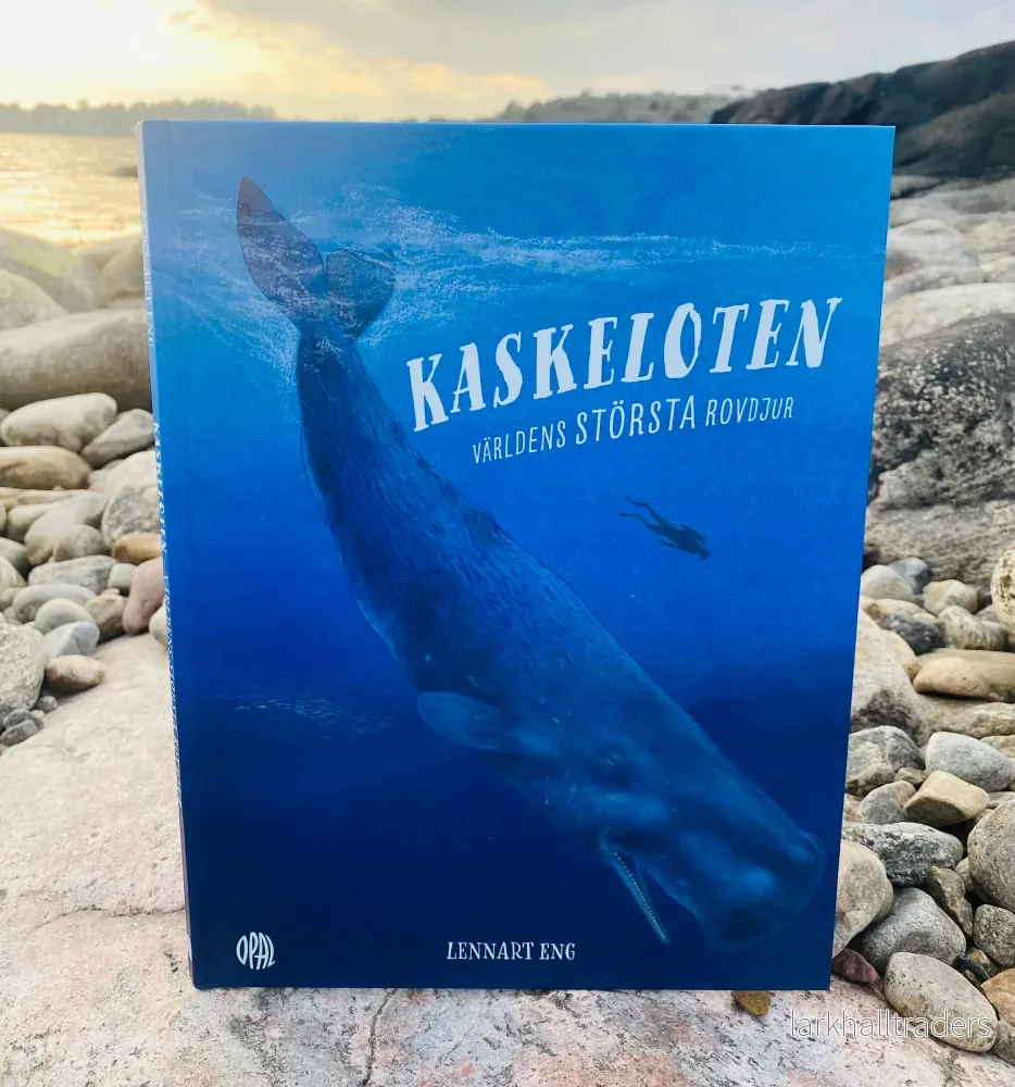 Kaskeloten - Världens största rovdjur - Bild 3