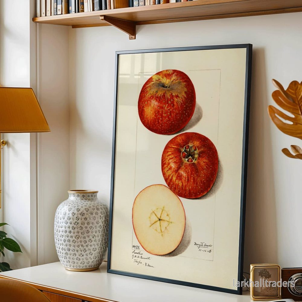 Malus domestica Poster Malus domestica Poster