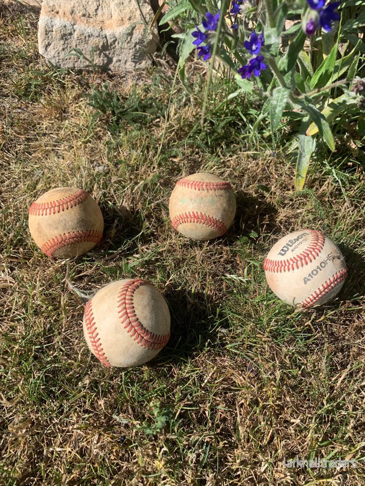 Baseboll - Bild 2