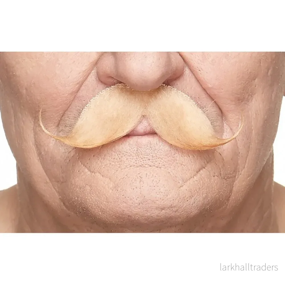 Mustasch, detective blond Mustasch, detective blond