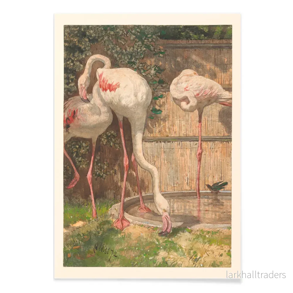 Tre flamingor Poster - Bild 2