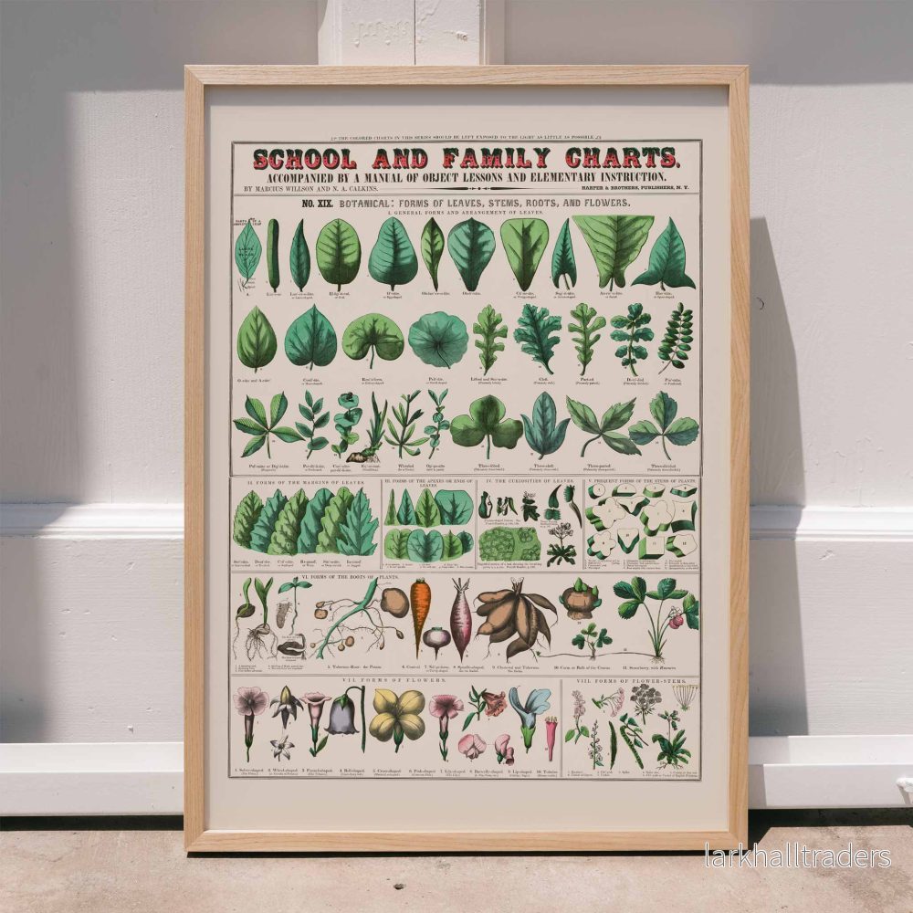 Bladformer Poster Bladformer Poster