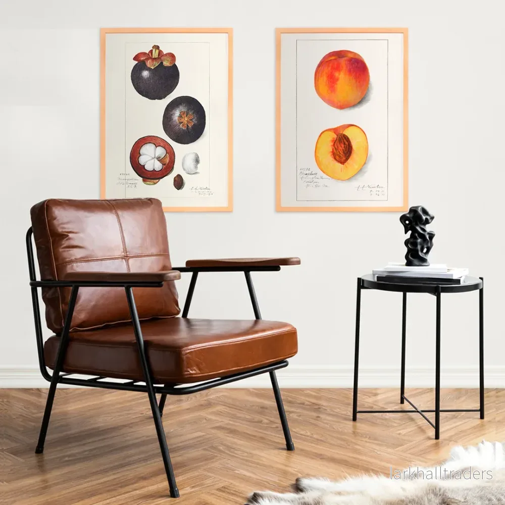 Prunus Persica Poster Prunus Persica Poster