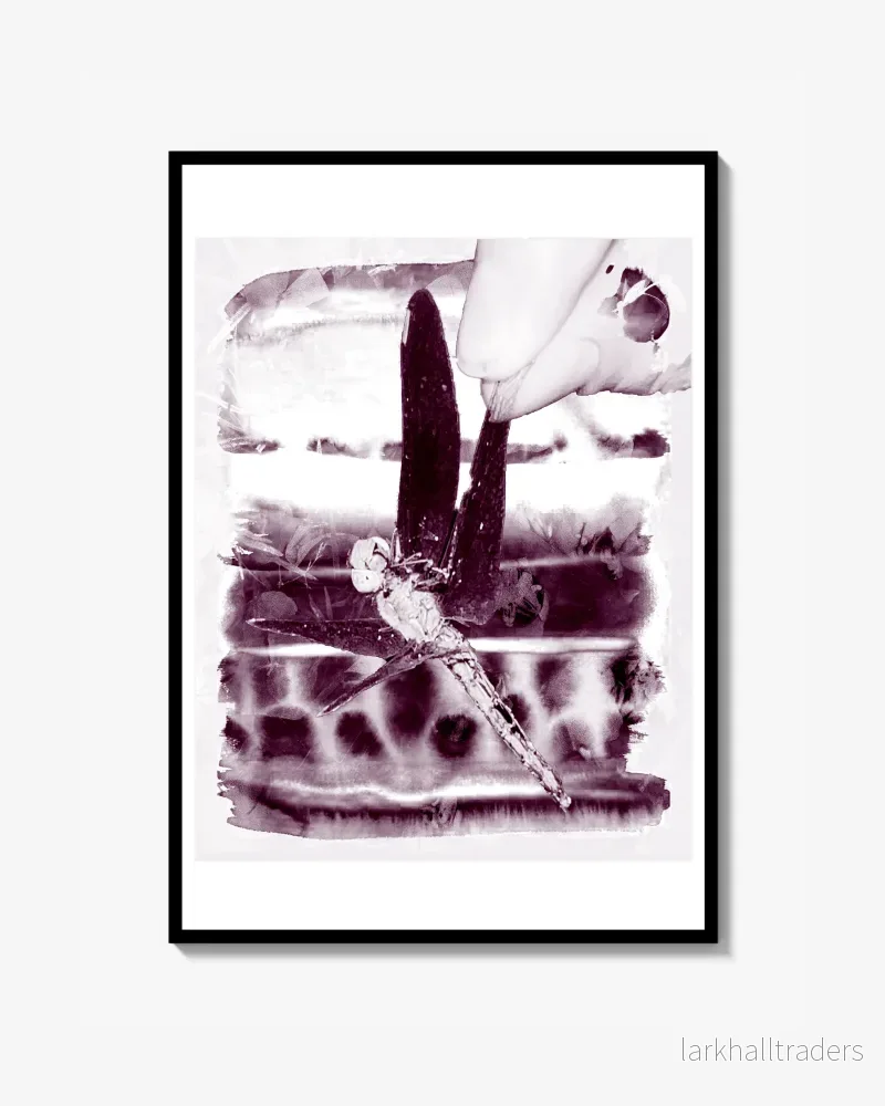 Trollslända Print