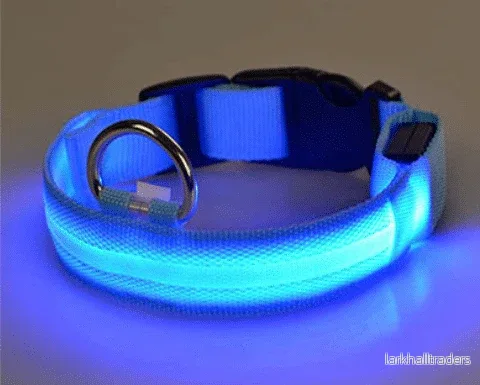 Hundhalsband med LED-lampor - Bild 3
