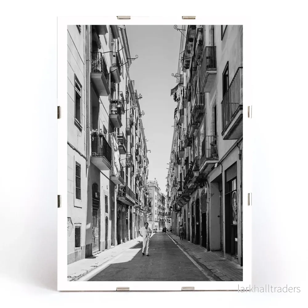 Gata i Barcelona Poster - Bild 3