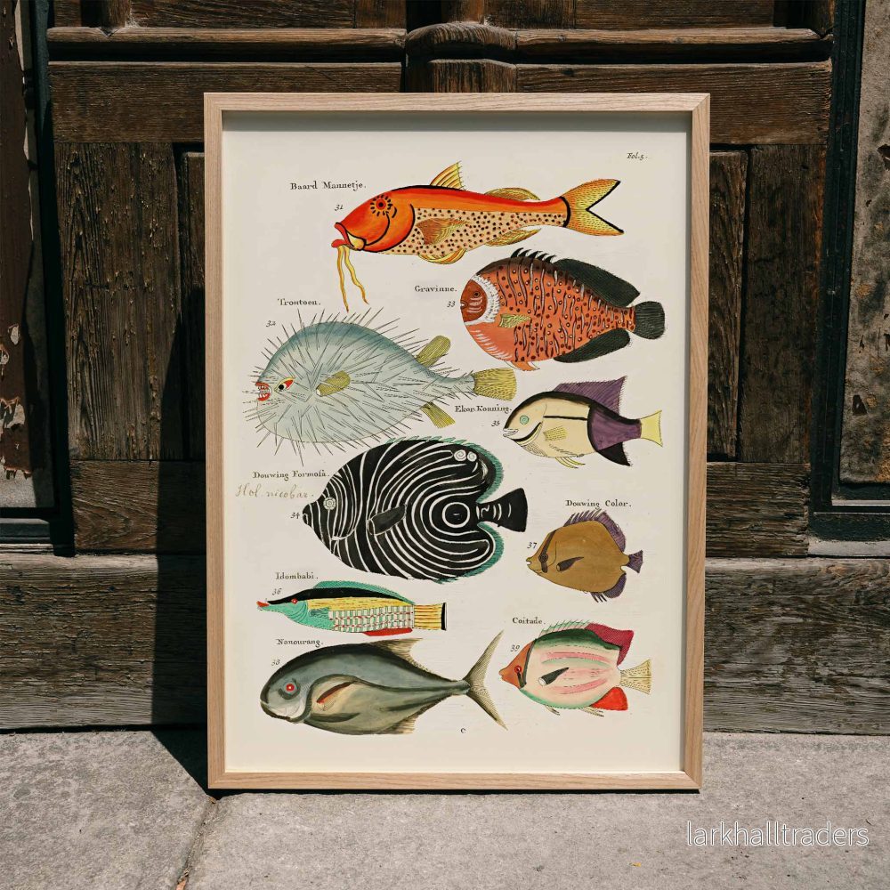 Surrealistiska fiskillustrationer Poster - Bild 3