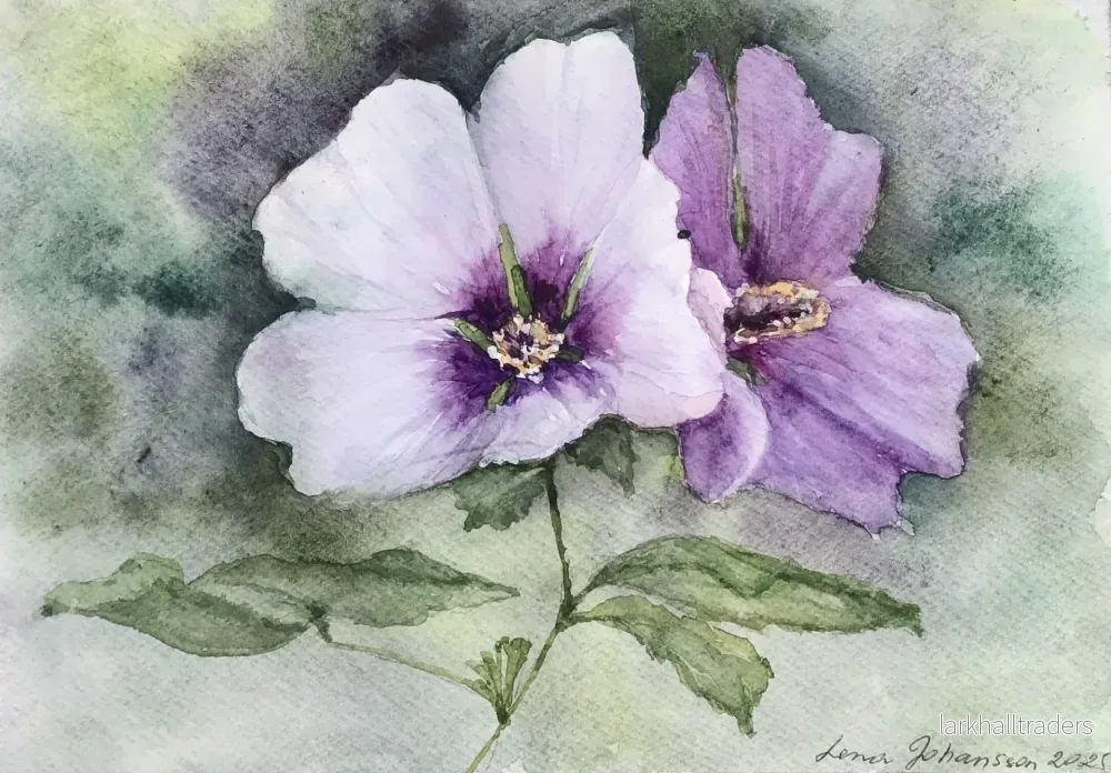 Original ny akvarell "Hibiscus " - Bild 2