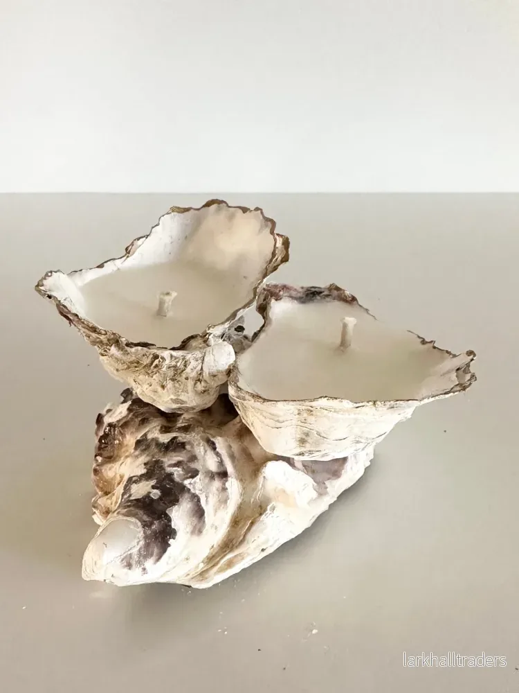 Oyster Twin Ljus / Alex & Elza Oyster Twin Ljus / Alex & Elza