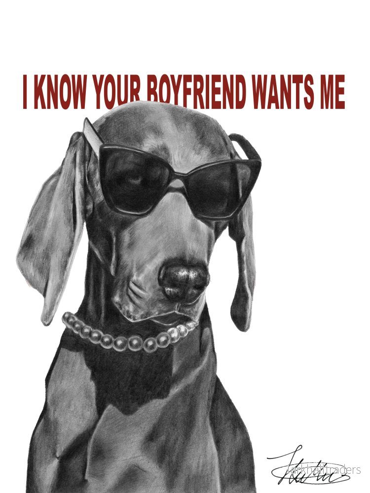 BOYFRIEND - Poster - Bild 3