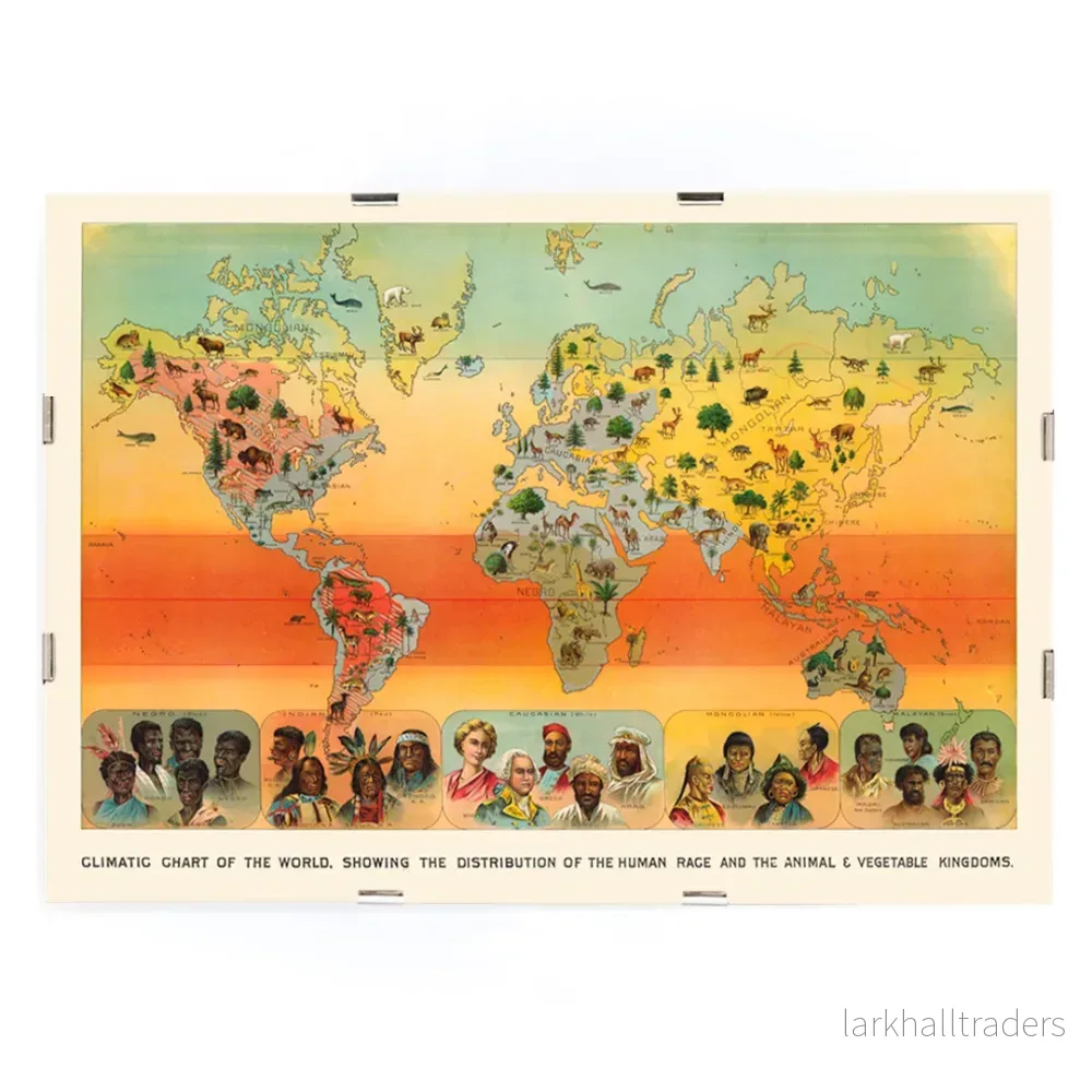 Klimatkarta över världen Poster - Bild 3