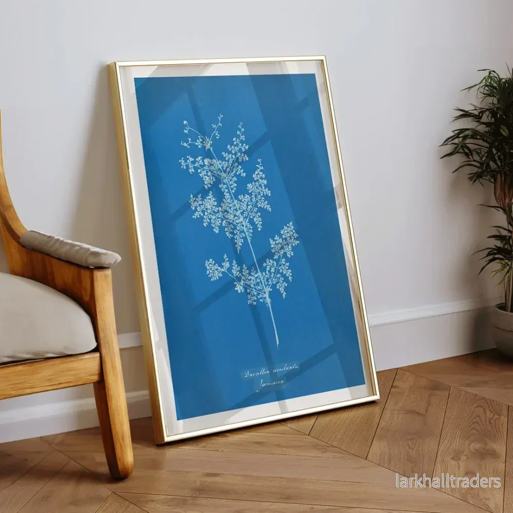 Davallia aeuleata Poster