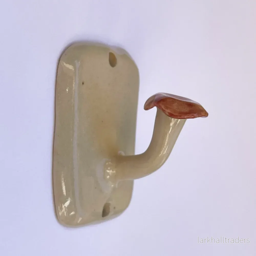 Krok Brun Svamp, Enkel